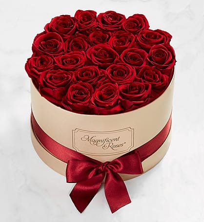 Magnificent Roses® Preserved Cabernet Roses